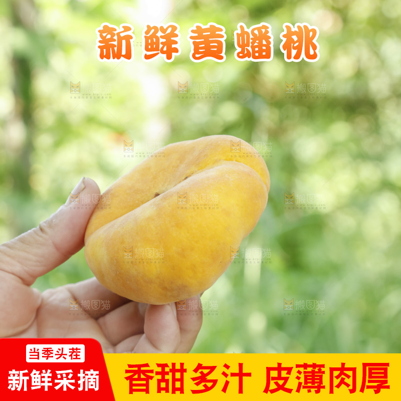 手里拿着新鲜黄蟠桃