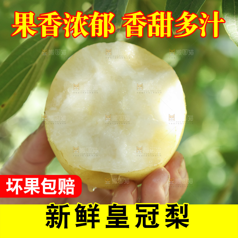 手里咬开的皇冠梨