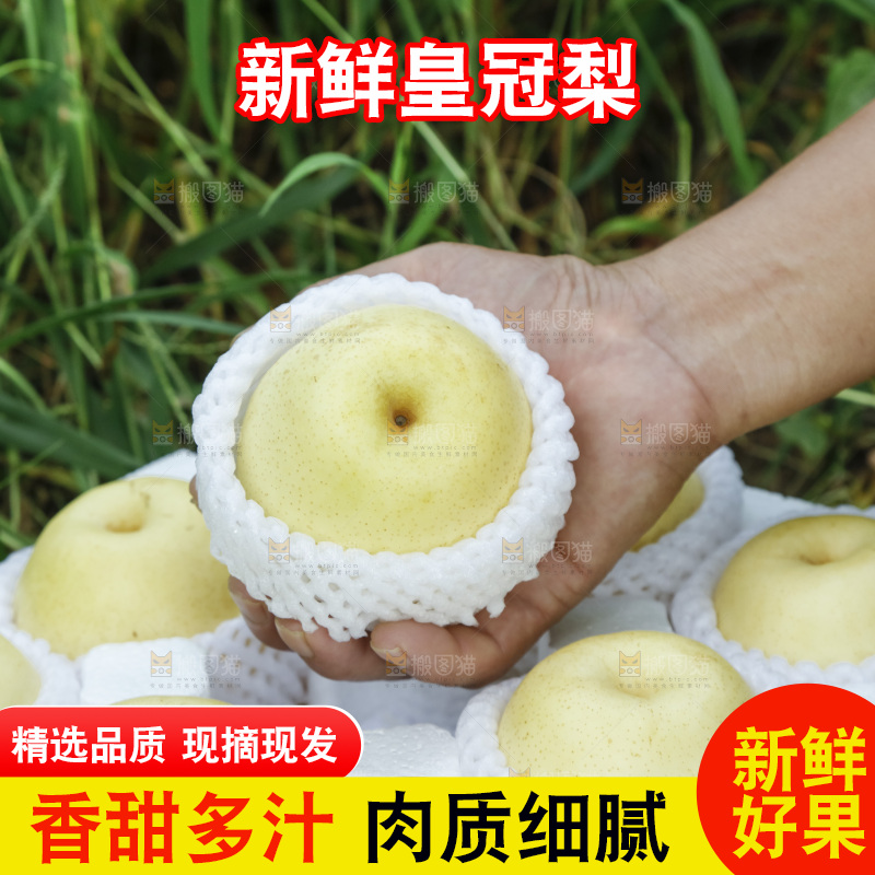 手里拿着新鲜皇冠梨