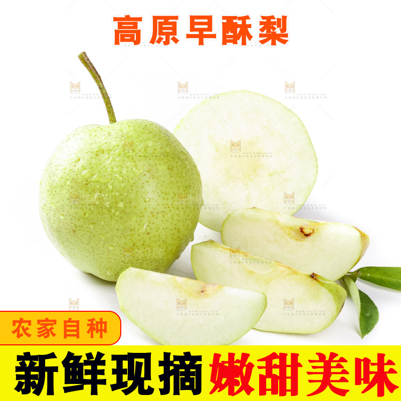 白底上的新鲜早酥梨