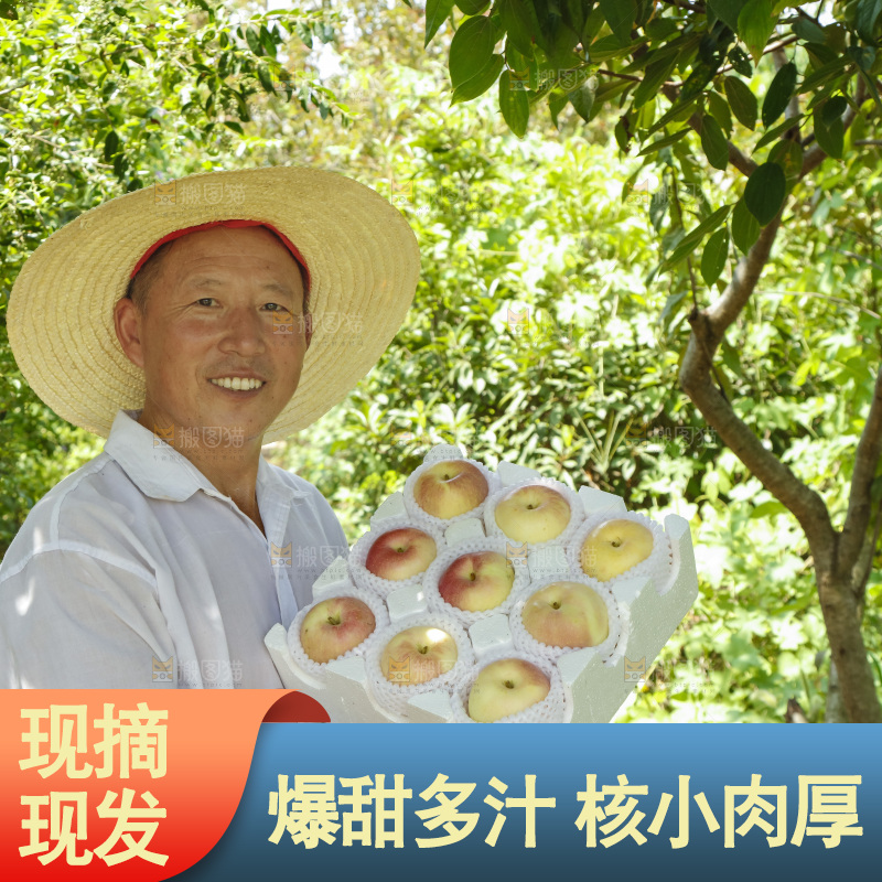 农民拿着礼品箱里的嘎啦果
