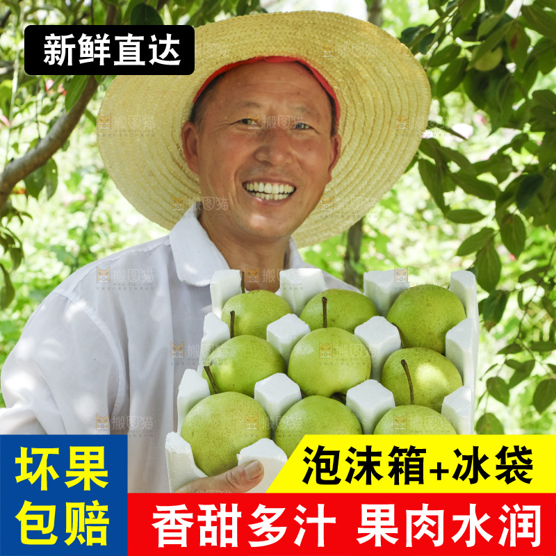 农民手里拿着一箱早酥梨