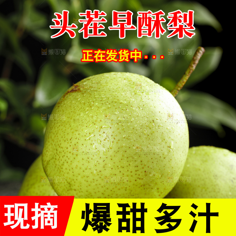 堆放着的陕西早酥梨