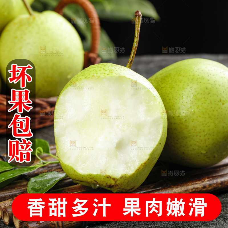 深底上的陕西早酥梨