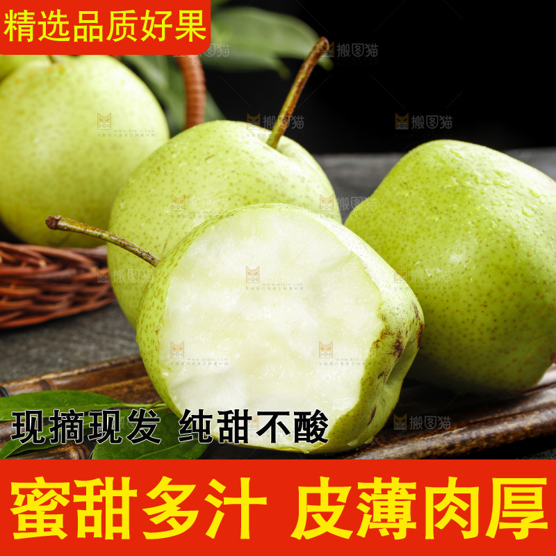 深底上的陕西早酥梨