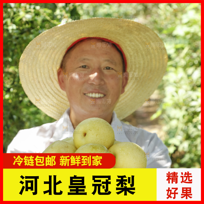 农民手里拿着一篮皇冠梨