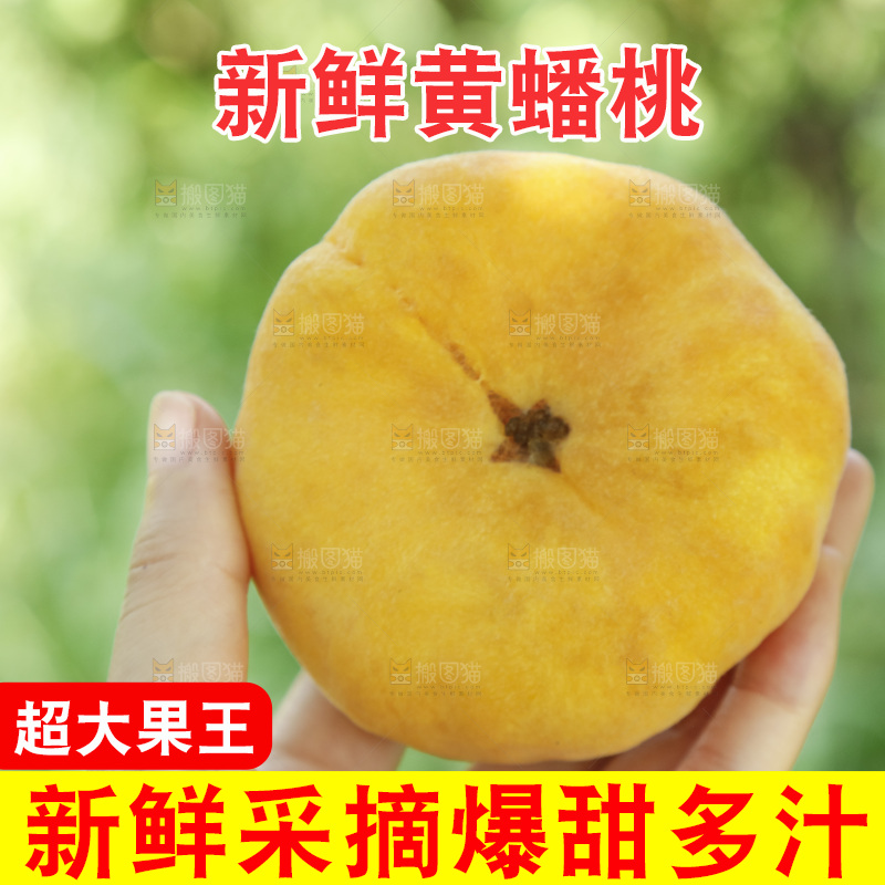 手里拿着新鲜黄蟠桃