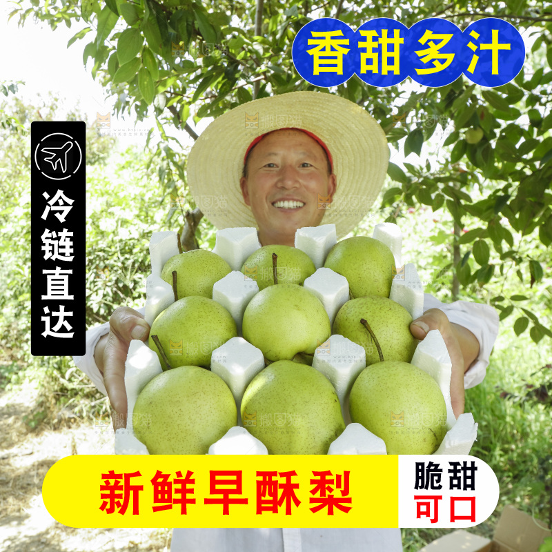 农民手里拿着一箱早酥梨