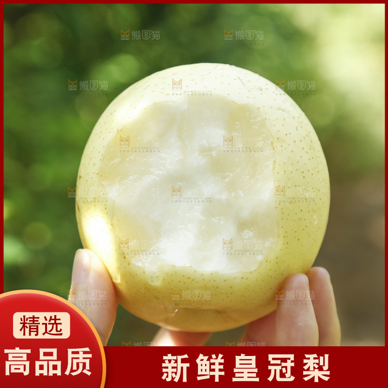 手里咬开的新鲜皇冠梨