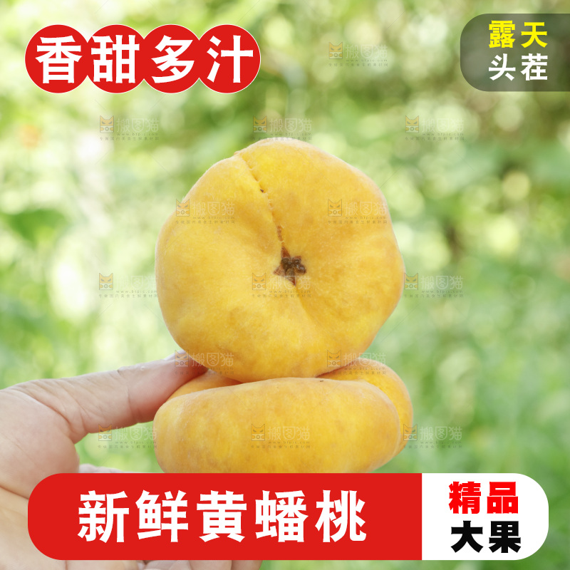 手里拿着新鲜黄蟠桃