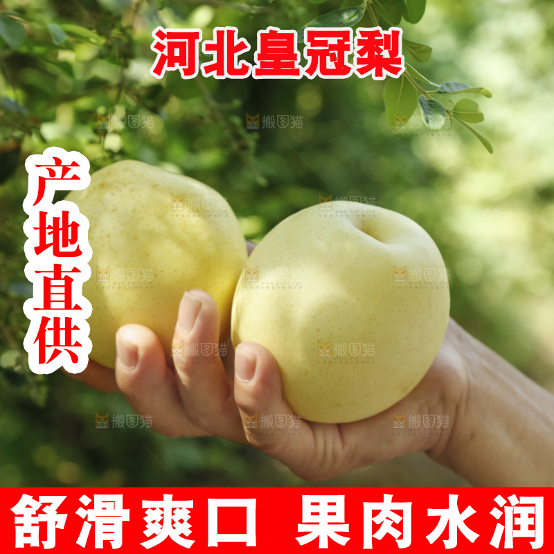 手里拿着新鲜皇冠梨