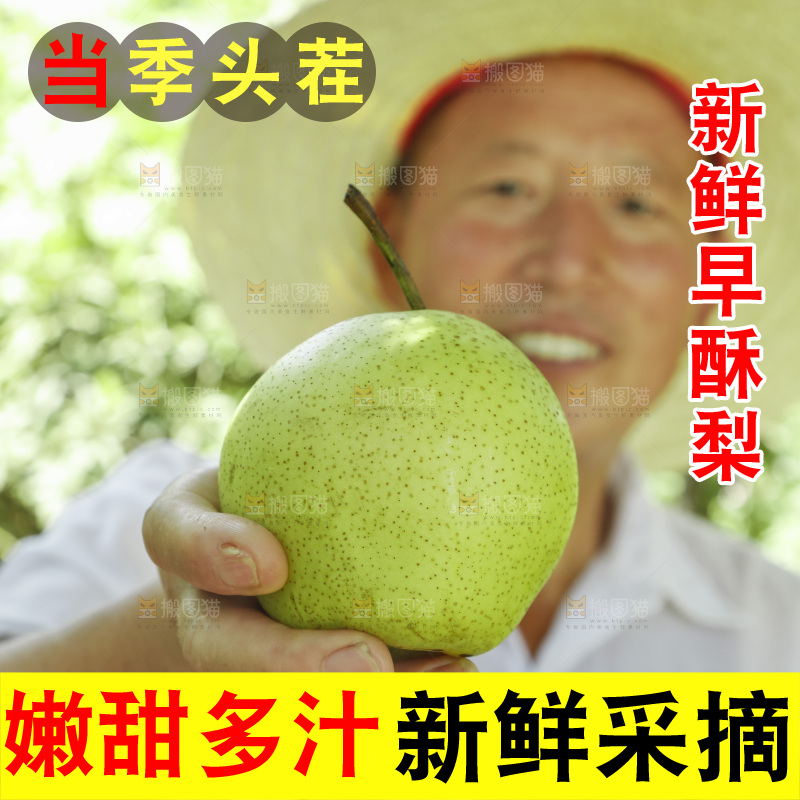 农民手里拿着早酥梨