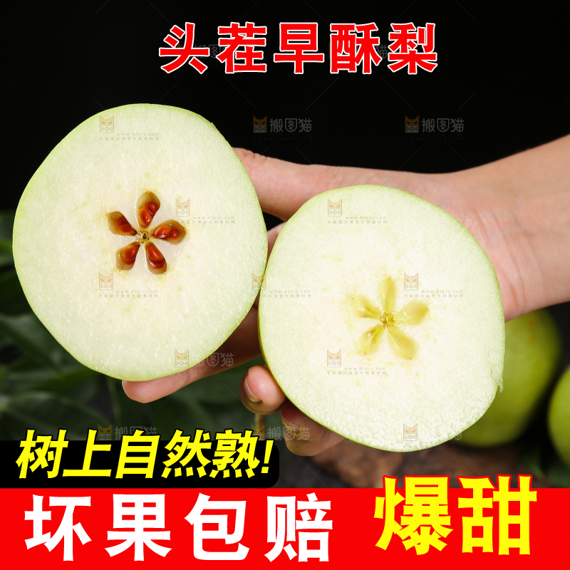 手里拿着切开的早酥梨