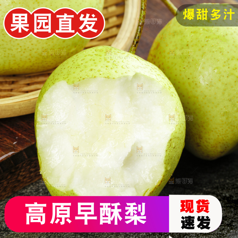 深底上的陕西早酥梨