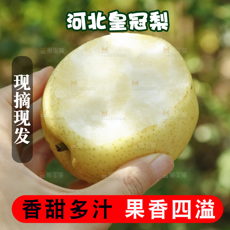 手里咬开的皇冠梨