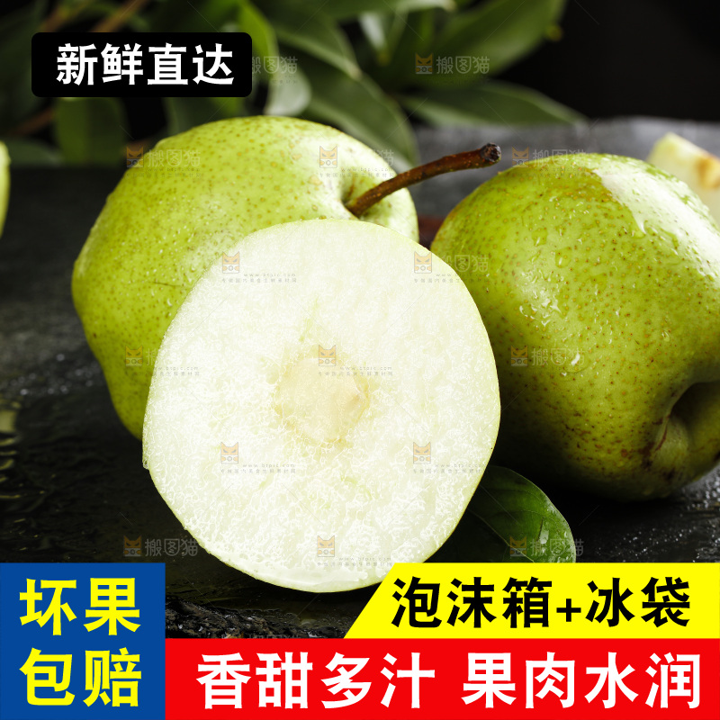 黑底上放着陕西早酥梨