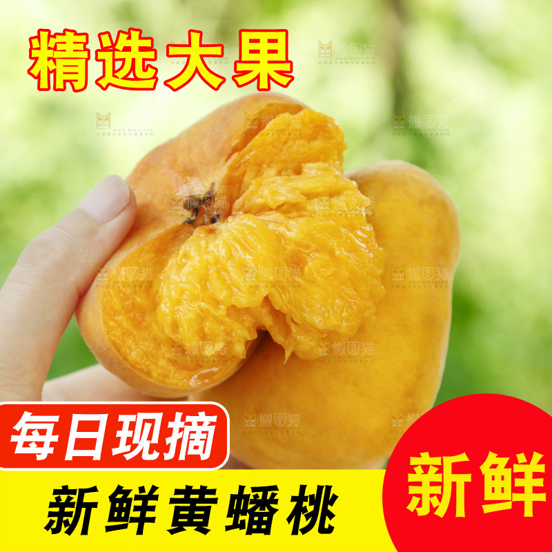 手里拿着新鲜黄蟠桃