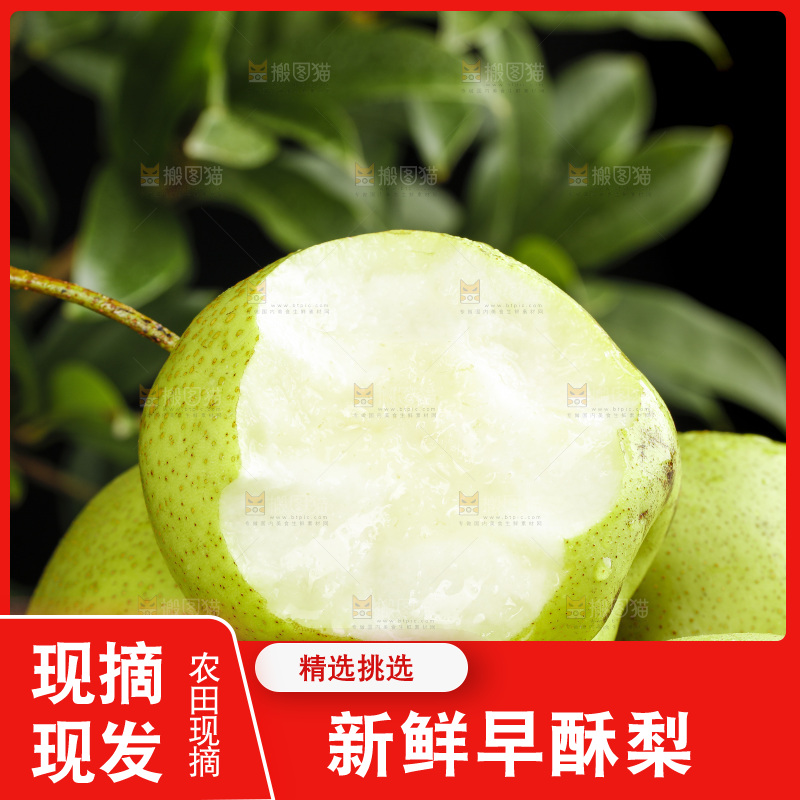 堆放着的陕西早酥梨