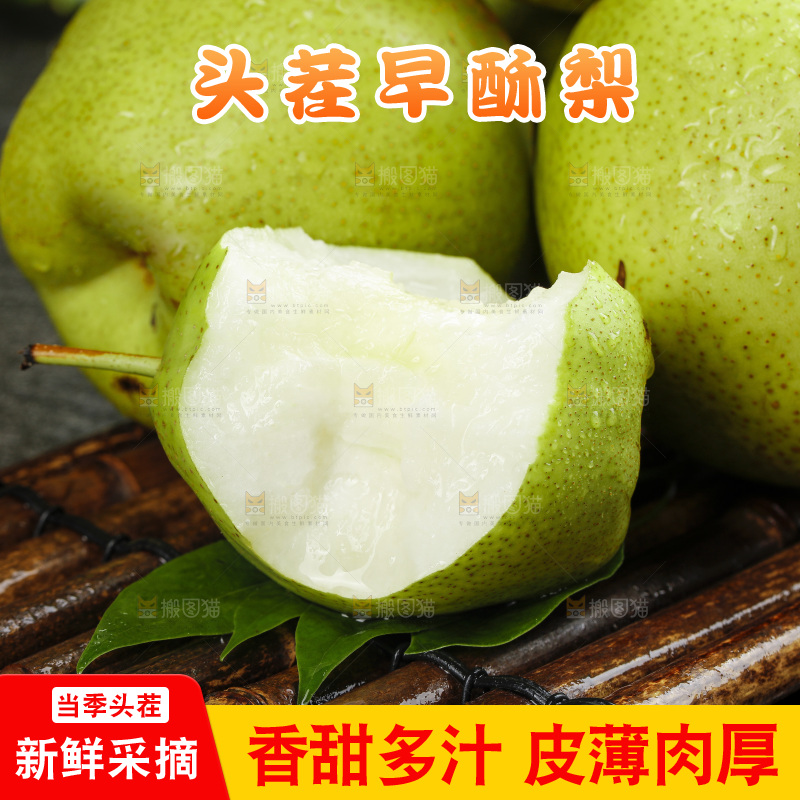 深底上放着的早酥梨