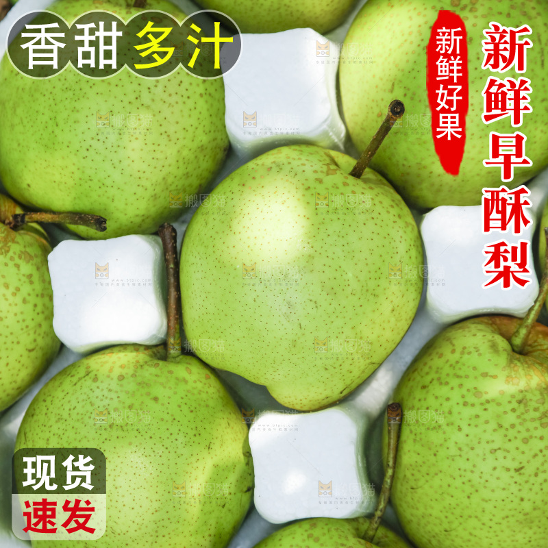 礼品箱里的早酥梨