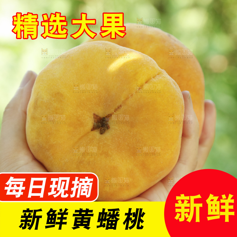 手里放着黄金蟠桃
