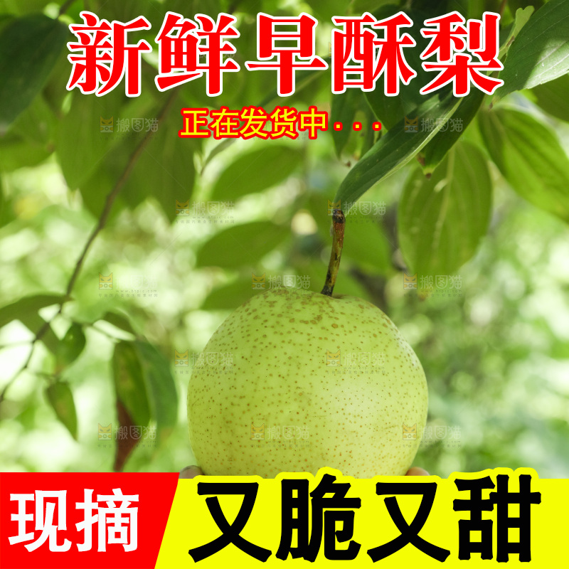 手里拿着新鲜早酥梨