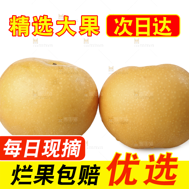 白底上摆放着秋月梨