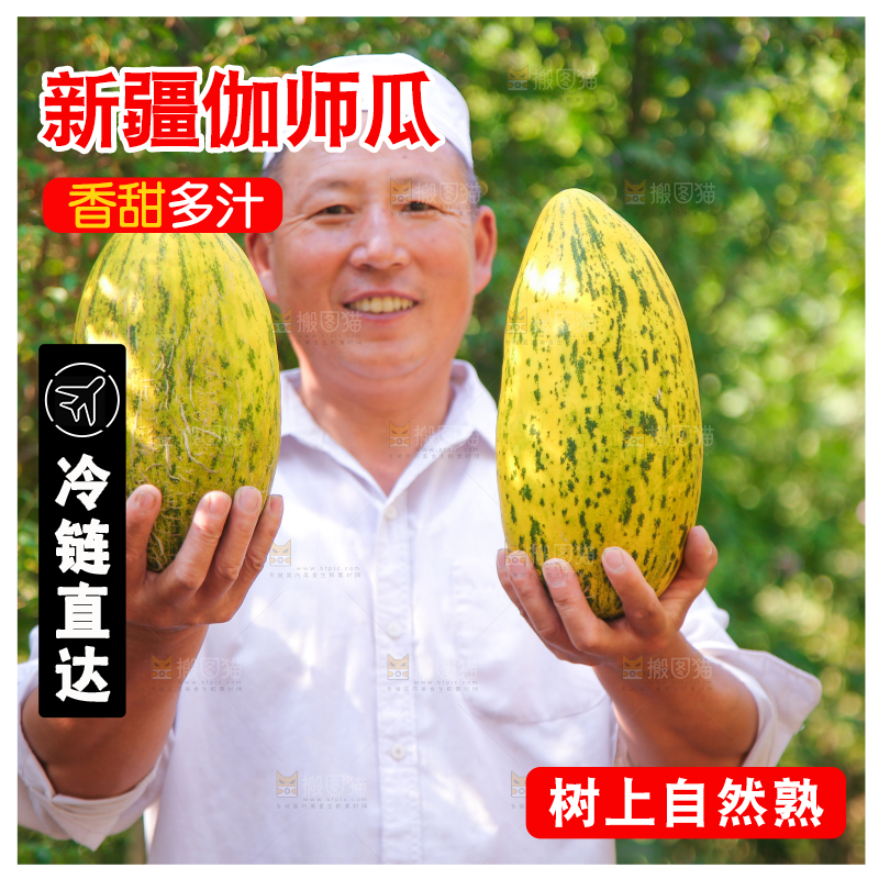 农民手里拿着伽师瓜