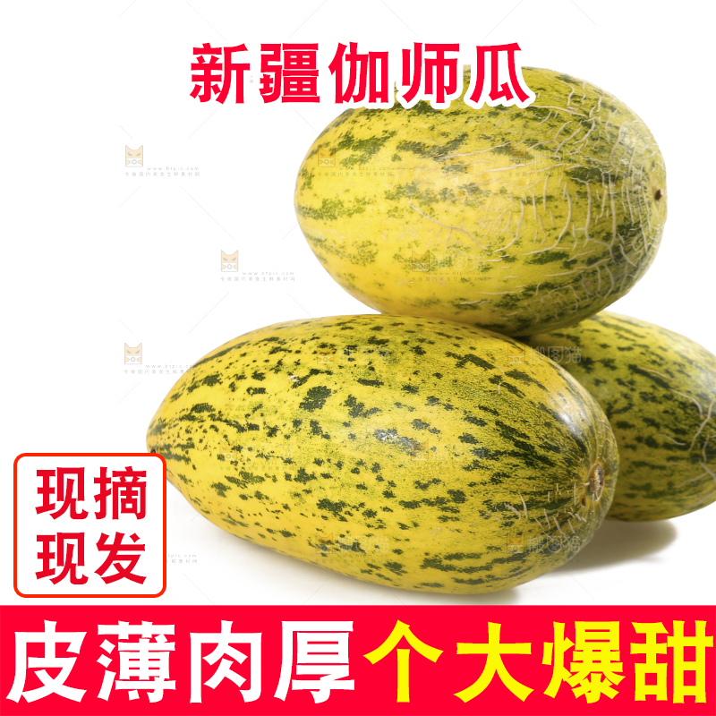 白底上放着新疆伽师瓜
