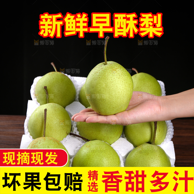 手上放着陕西早酥梨