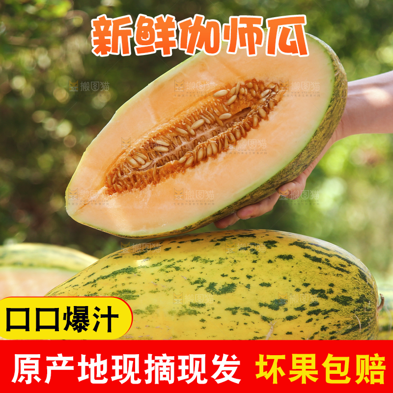 手里拿着切开的哈密瓜