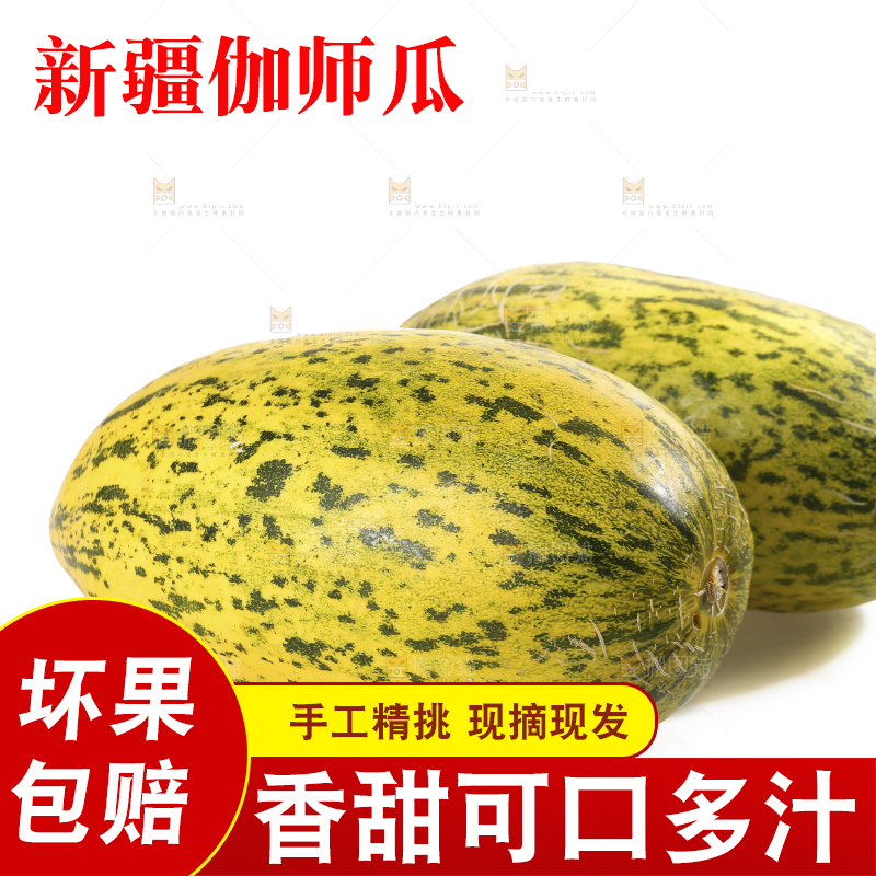 白底上放着新疆伽师瓜