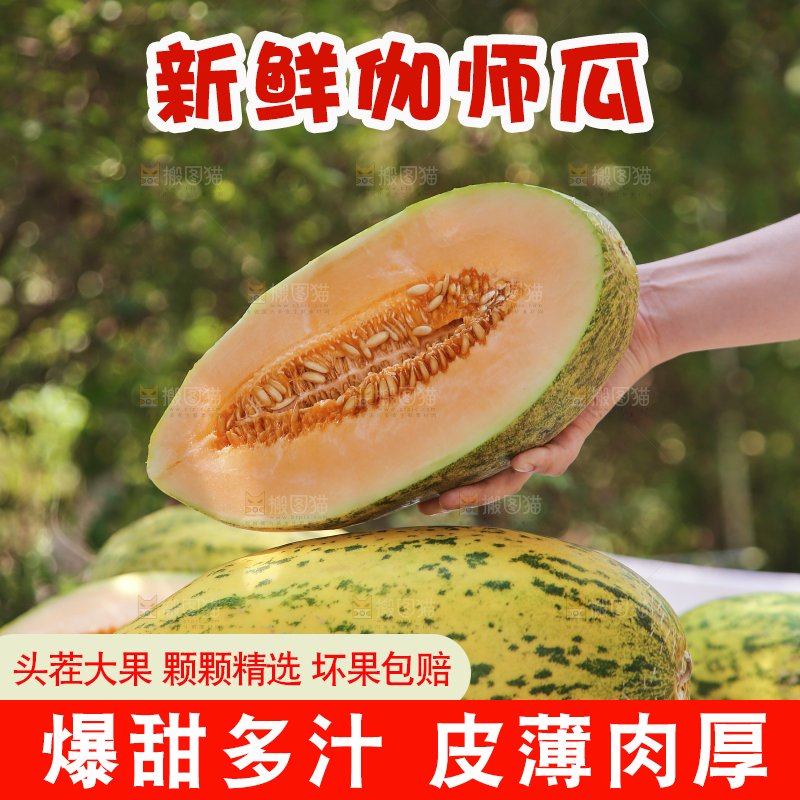 手里拿着切开的哈密瓜