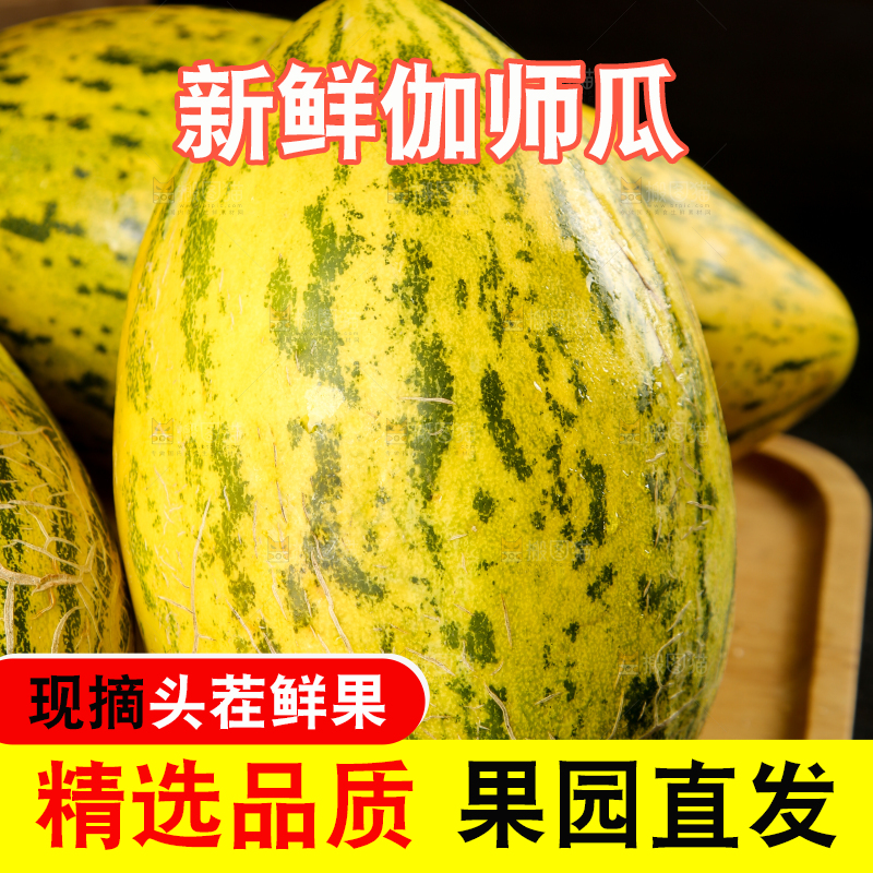木盘里摆放着伽师瓜