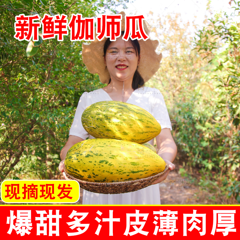 女孩手拿一篮哈密瓜