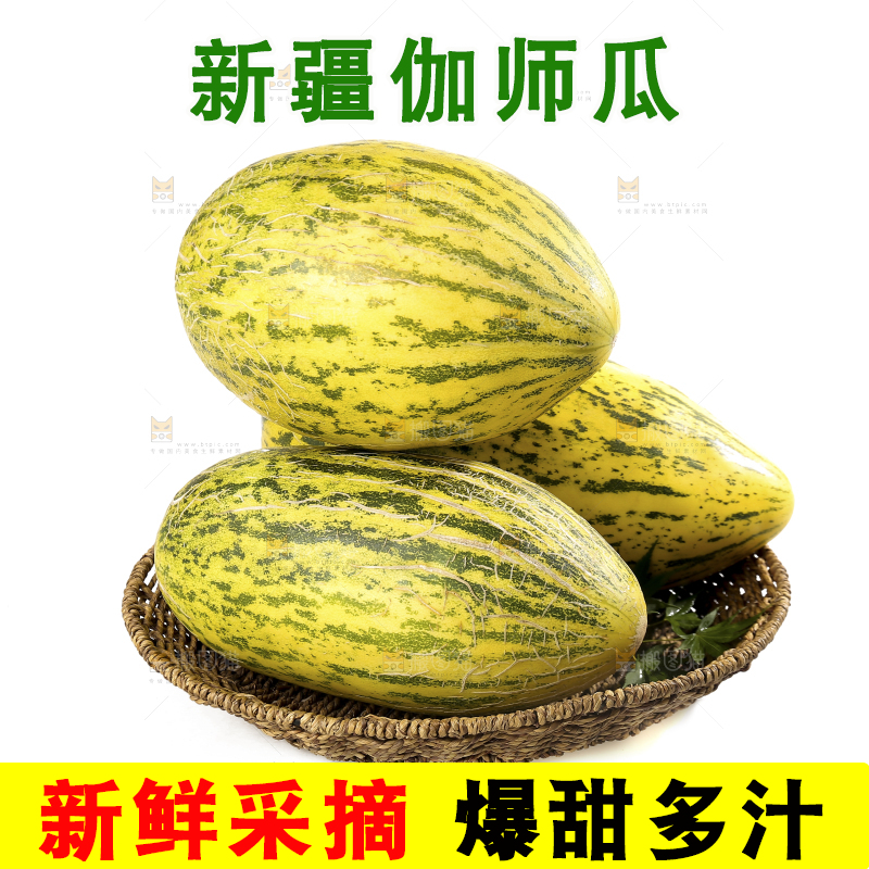白底上放着一篮伽师瓜