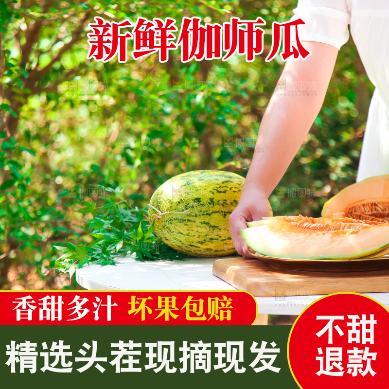 手端着一盘新疆哈密瓜