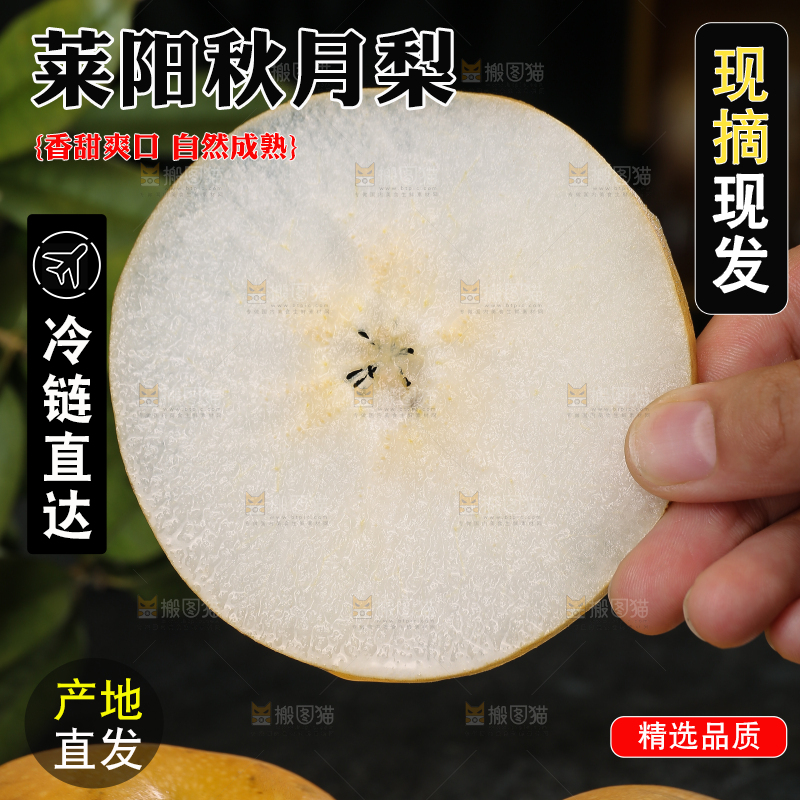 手里拿着切片的秋月梨