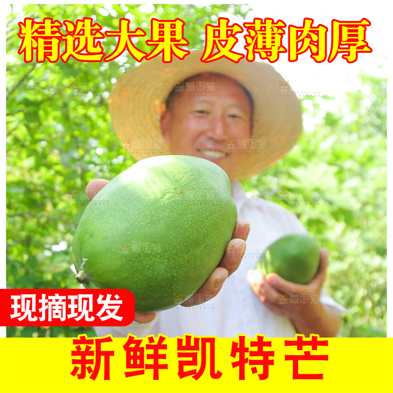 农民手里拿着青皮凯特芒