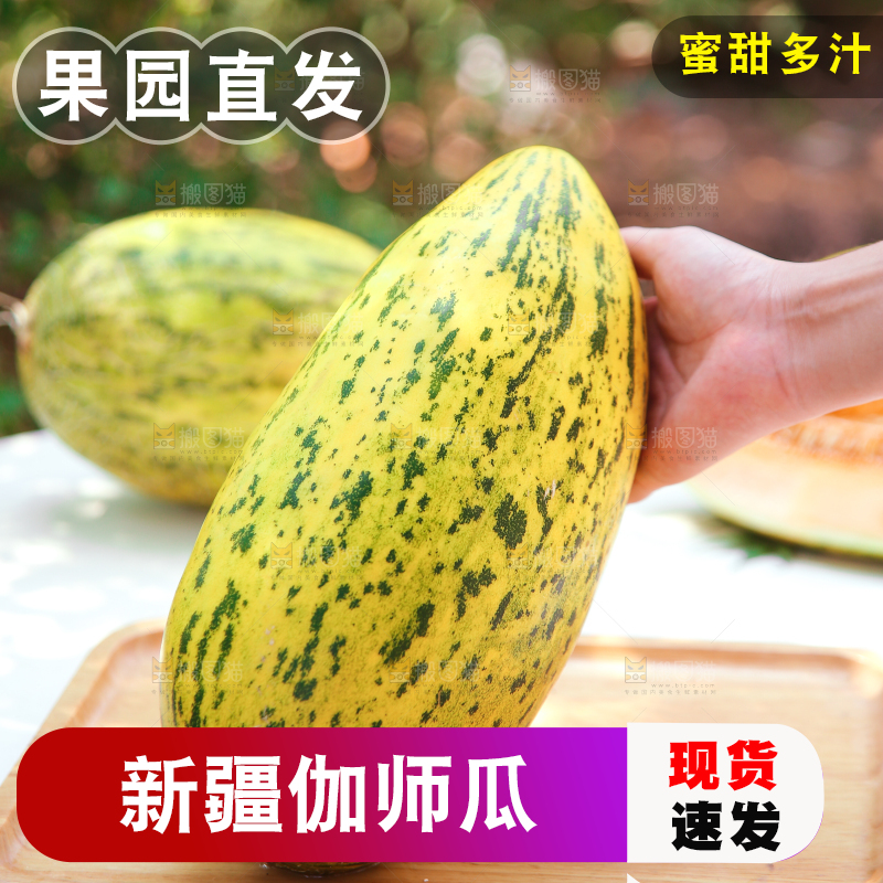 手里拿着新疆哈密瓜