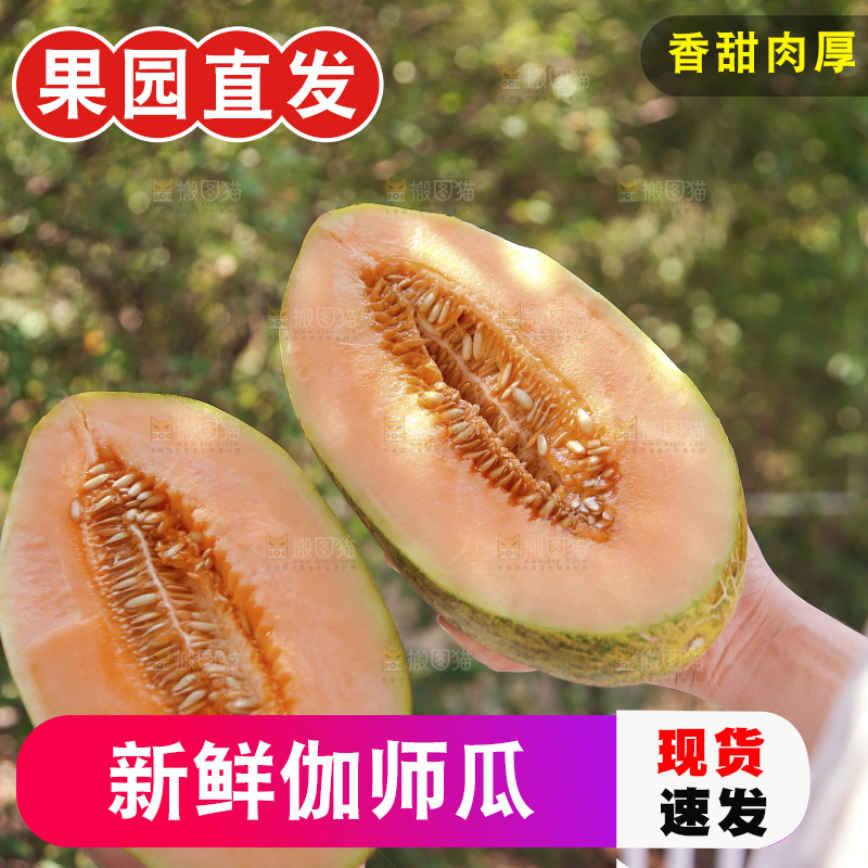 手里拿着切开的哈密瓜