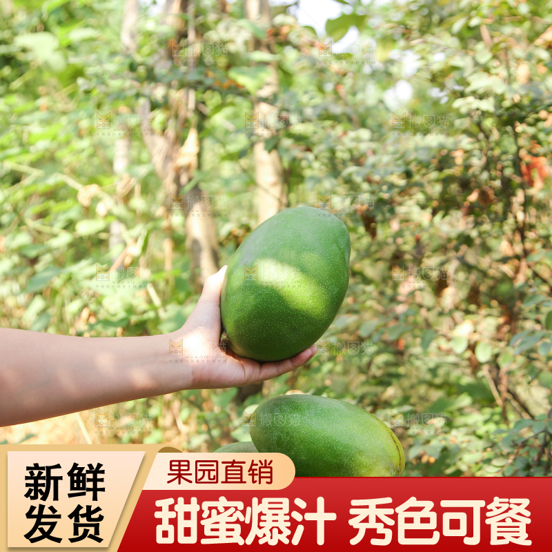 手里拿着凯特芒果