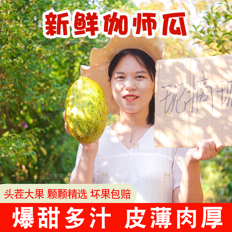 女孩手里拿着哈密瓜