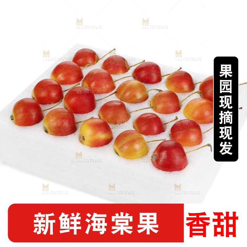 礼品盒里的海棠果