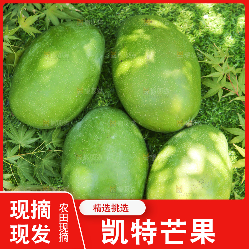 草地上放着凯特芒果