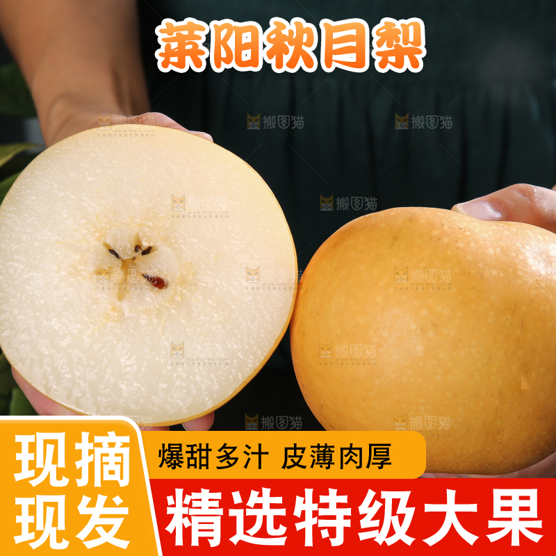 手里拿着新鲜秋月梨
