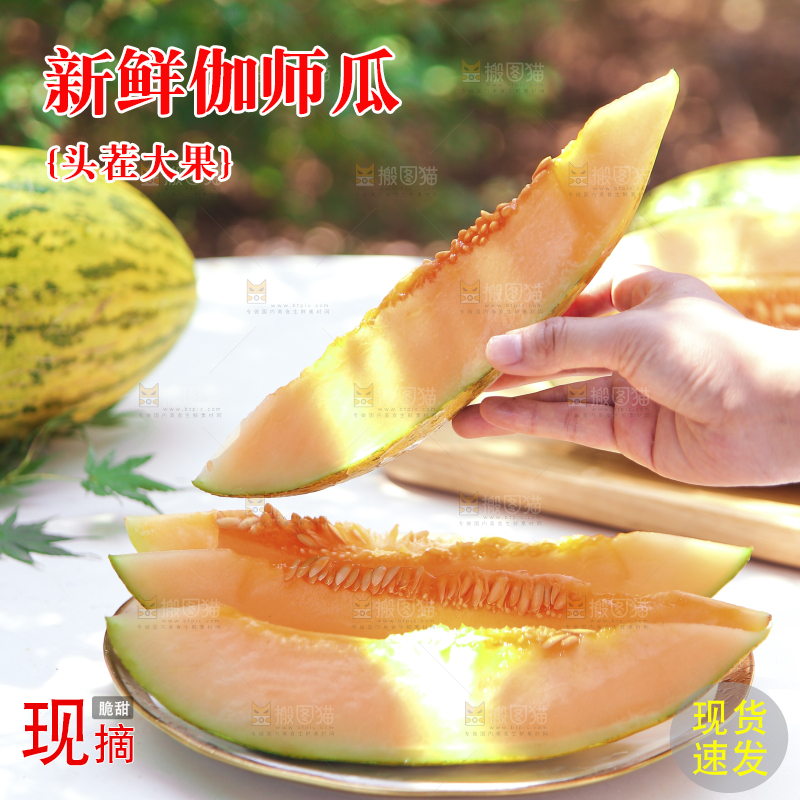 手里拿着一块哈密瓜