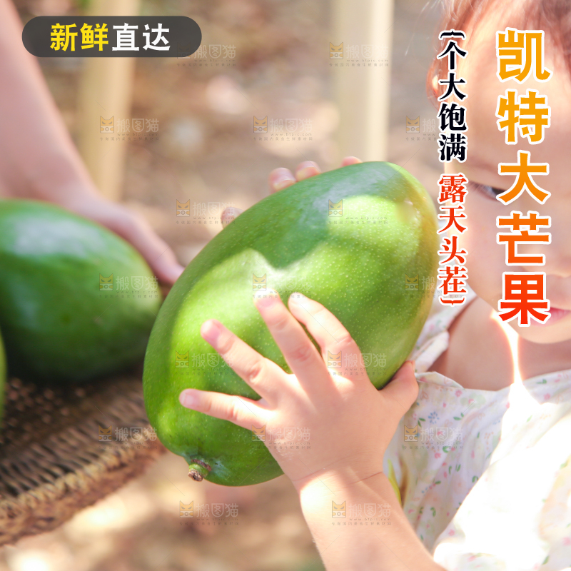 小孩手里拿着凯特芒