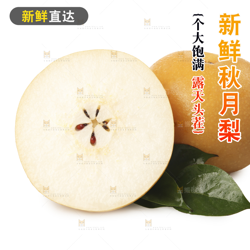 白底上摆放着秋月梨