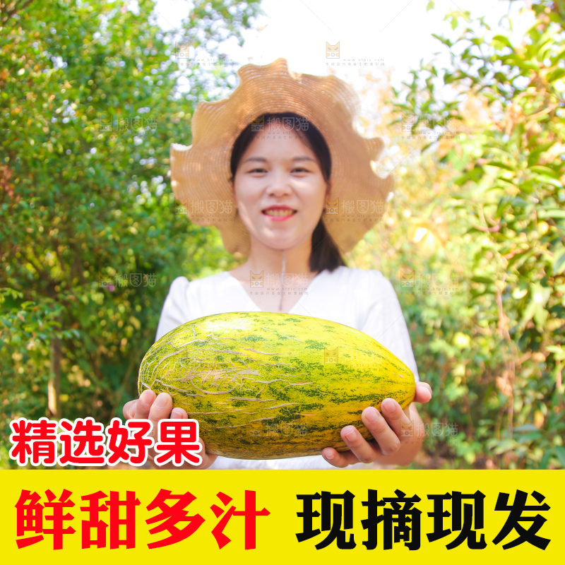女孩手里拿着哈密瓜
